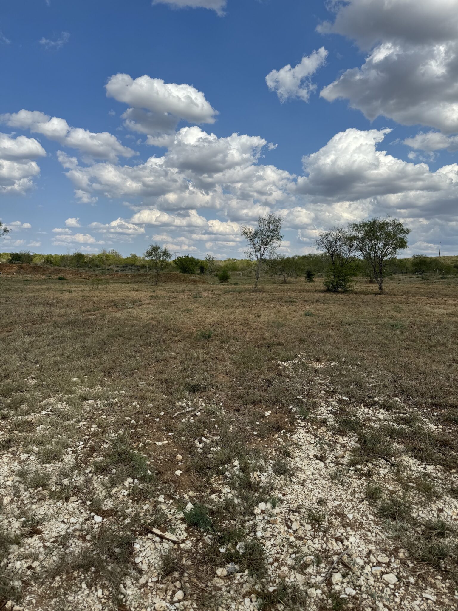 Stay a few days or longer-term at our RV park near Pearsall TX